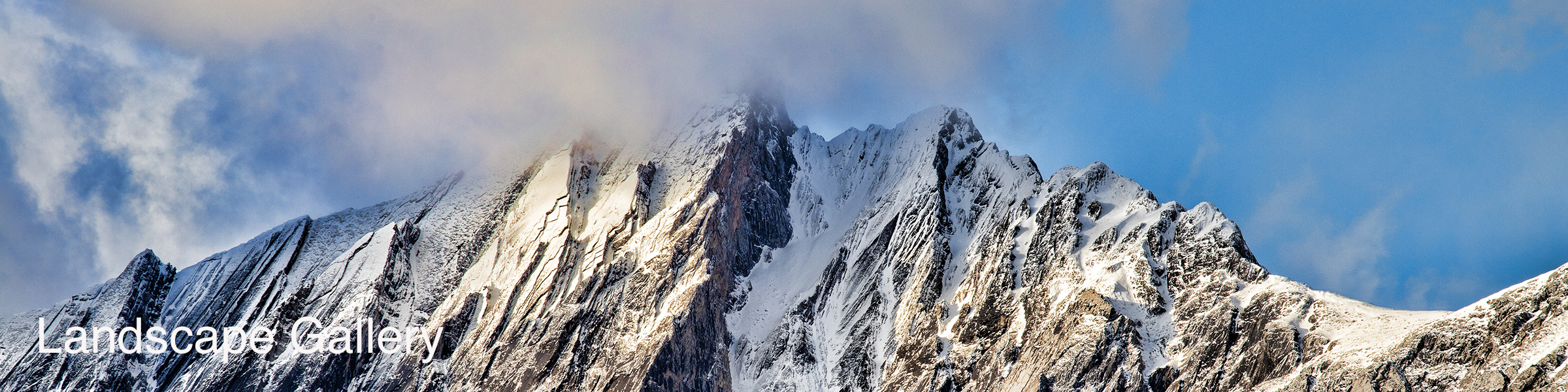 Cliff Nietvelt Photography